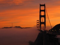SF2011